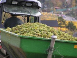 General view
General view
di Hotel Schild Vienna