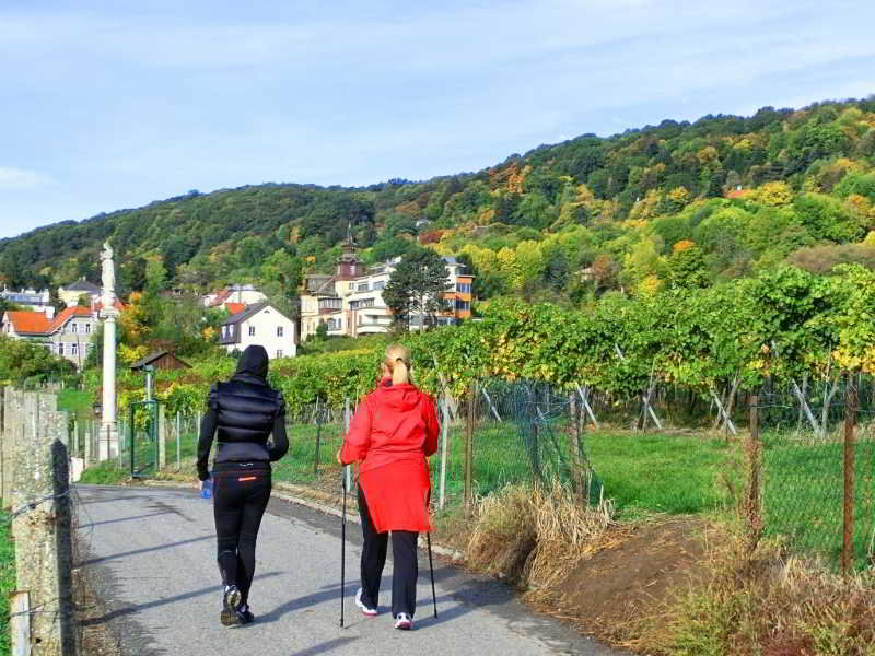General view
General view
di Hotel Schild Vienna