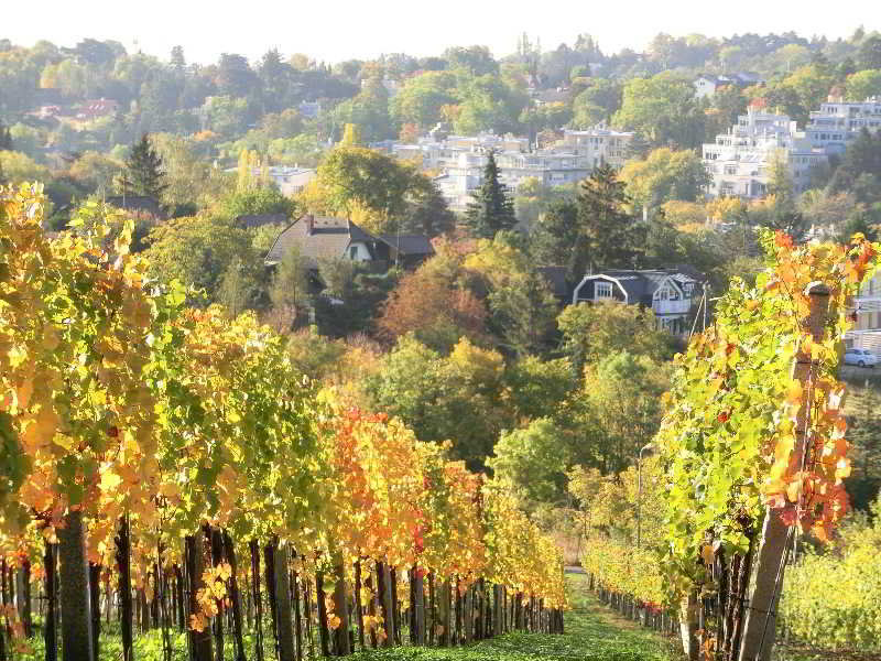 General view
General view
di Hotel Schild Vienna