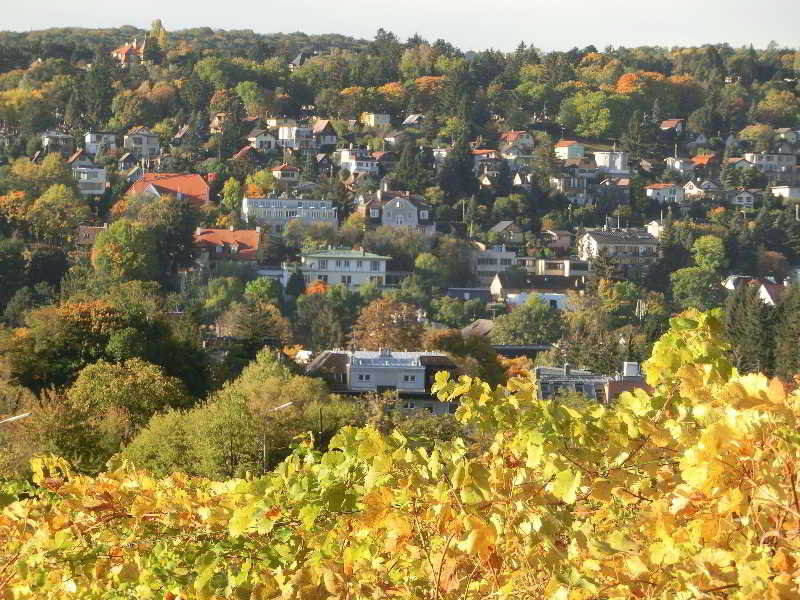 General view
General view
di Hotel Schild Vienna