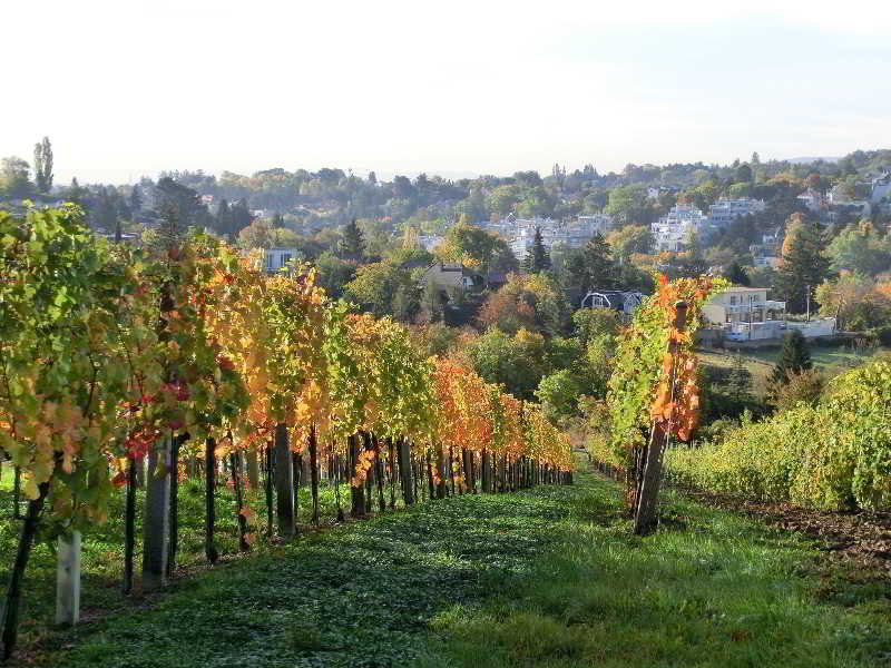 General view
General view
di Hotel Schild Vienna