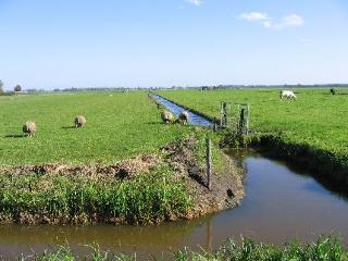 General view
General view
di Hampshire Hotel Delft Centre