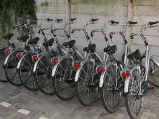 General view
General view
di Court Garden Hotel Ecodesigned