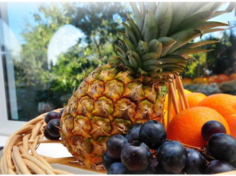 General view
General view
di Pansion Matanovi Dvori