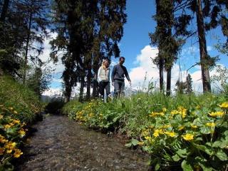 General view
General view
di Alpvision Residences Nendaz