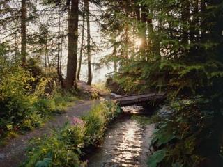 General view
General view
di Alpvision Residences Nendaz