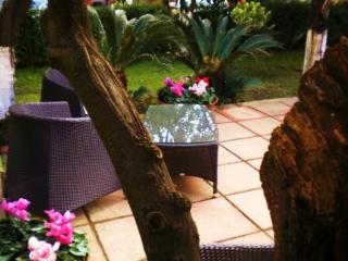 General view
General view
di Hotel Diana Pompei