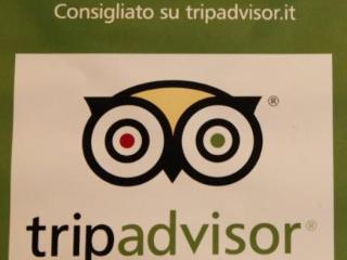 General view
General view
di Affittacamere Arcobaleno