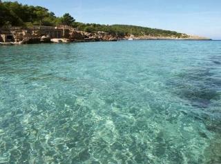 General view
General view
di Apartamentos Australasia Playa