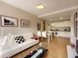 Apartamentos Bilbao Apartamentos Atxuri