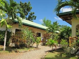 General view
General view
di Bohol Sea Resort