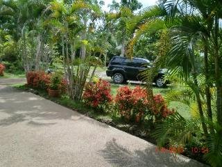 General view
General view
di Bohol Sea Resort