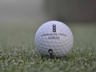 General view
General view
di Chateau Les Merles