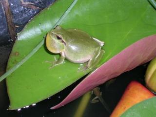 General view
General view
di Romantic Casa Lorenzina B&B