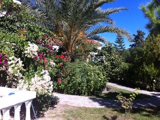 Terrace
Terrace
di The Prince Inn Hotel&Villas