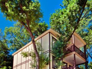 General view
General view
di Green Point (Zelenyi Mis)