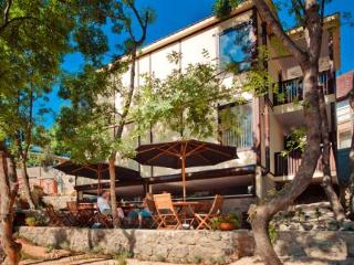 General view
General view
di Green Point (Zelenyi Mis)