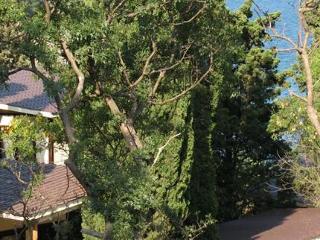 General view
General view
di Green Point (Zelenyi Mis)