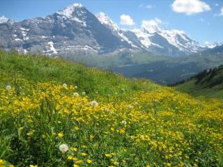 General view
General view
di Hotel Bernerhof
