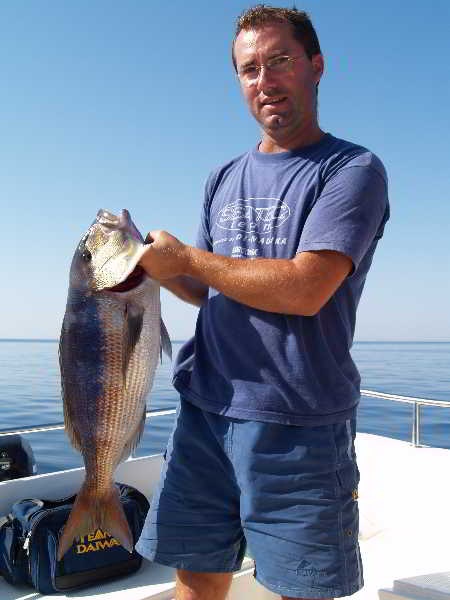 Sports and Entertainment
Sports and Entertainment
di Gorgonia Apartments