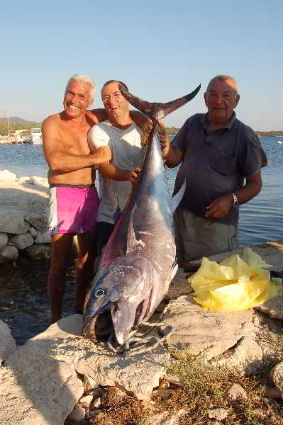 Sports and Entertainment
Sports and Entertainment
di Gorgonia Apartments