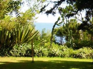 General view
General view
di Albatroz Beach Club