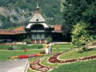 General view
General view
di Hotel Waldhotel Unspunnen