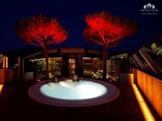 General view
General view
di Astra Hotel Vevey