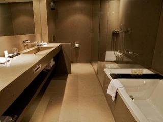 General view
General view
di Grischa - DAS Hotel Davos