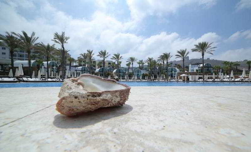 Pool
Pool
di Warwick Pangea Beach Resort & SPA