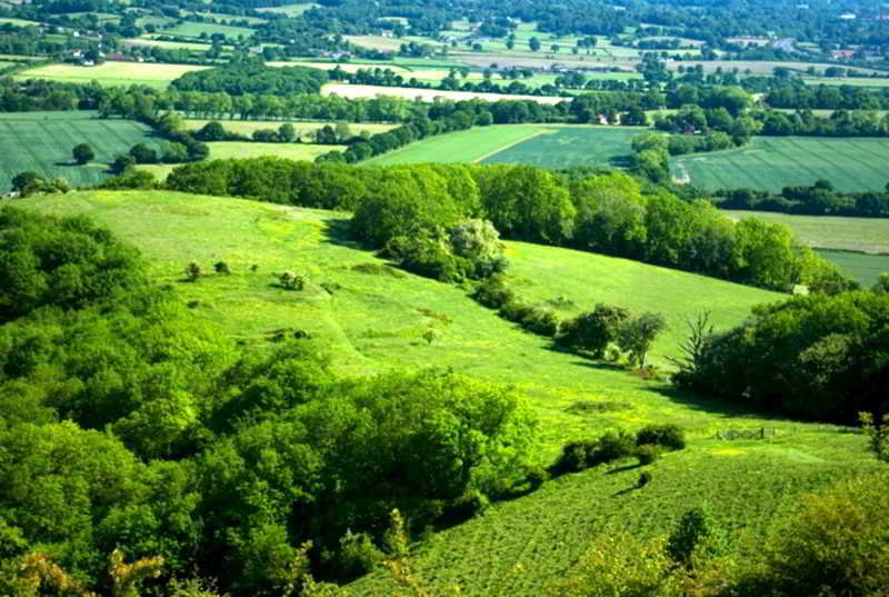 General view
General view
di Three Saints Hotel