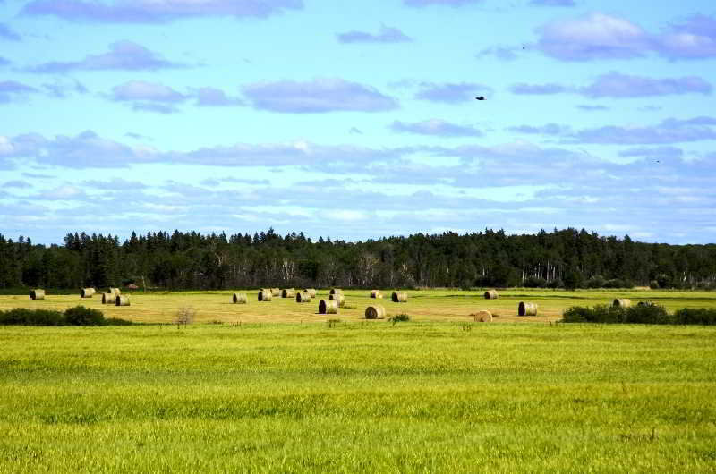 General view
General view
di Three Saints Hotel