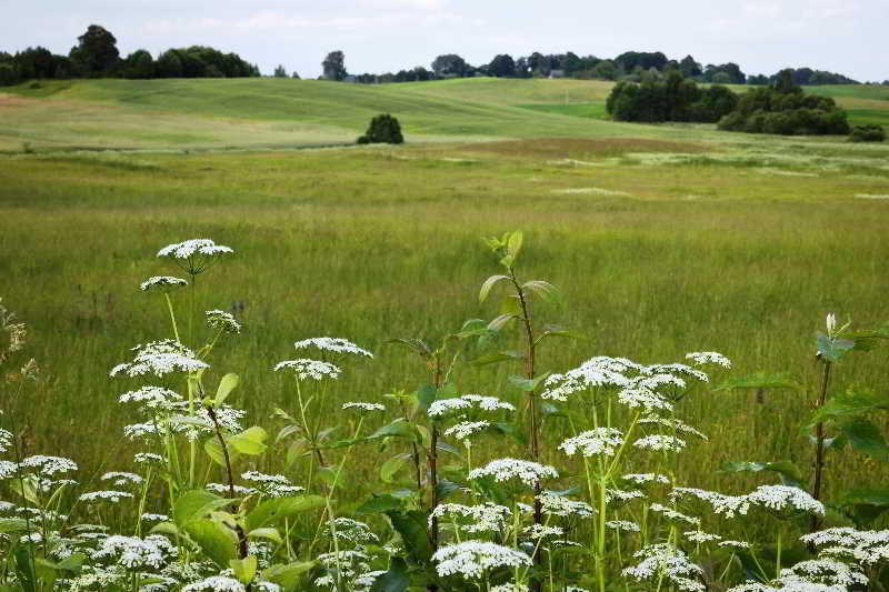 General view
General view
di Three Saints Hotel
