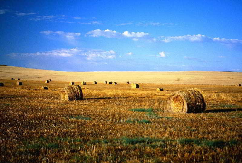 General view
General view
di Three Saints Hotel