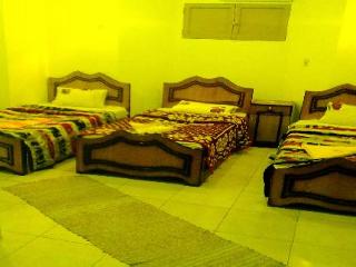 General view
General view
di Alexander Hotel