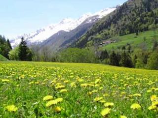 General view
General view
di Chalet Dei Fiori