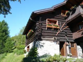 General view
General view
di Chalet Dei Fiori