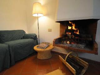 General view
General view
di San Lorenzo A Linari Resort