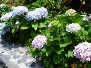 General view
General view
di Casa Da Capelinha