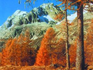 General view
General view
di Chalet Stella Alpina