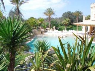 General view
General view
di Masseria Quadrelli