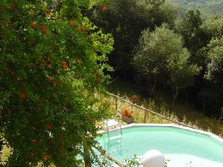 General view
General view
di Castello Di Tocchi - App. Ginestra