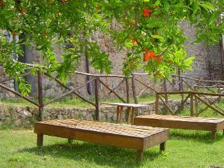 General view
General view
di Castello Di Tocchi - App. Ginestra