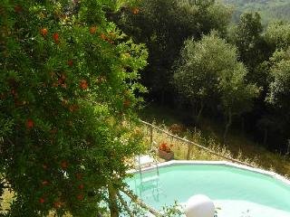 Sports and Entertainment
Sports and Entertainment
di Castello Di Tocchi - App. Ginestra