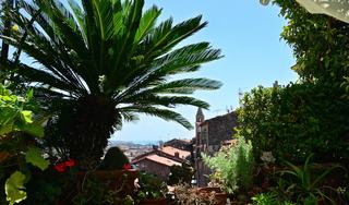 General view
General view
di La Terrazza Dei Pelargoni B&B