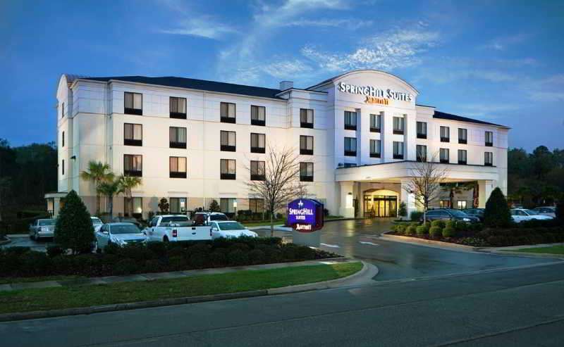 General view
 di Springhill Suites Gainesville