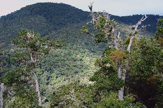Room
Room
di Dantica Cloud Forest Lodge