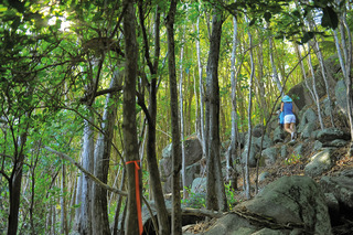 Sports and Entertainment
Sports and Entertainment
di Sainte Anne Island - Beachcomber & Spa