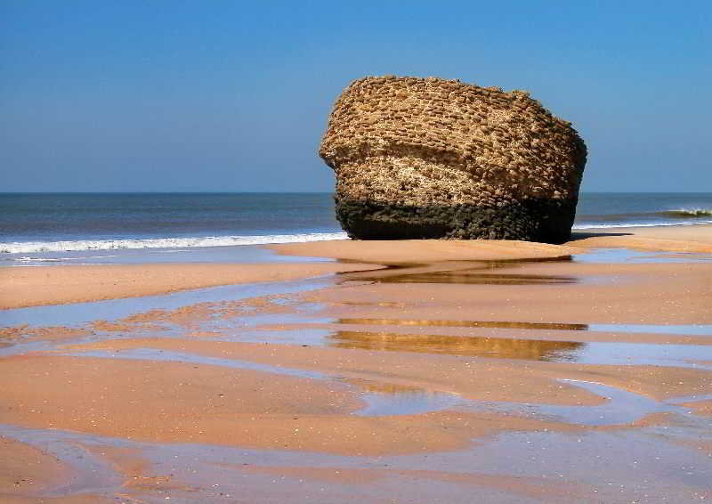 General view
General view
di Roulette Matalascañas 3*