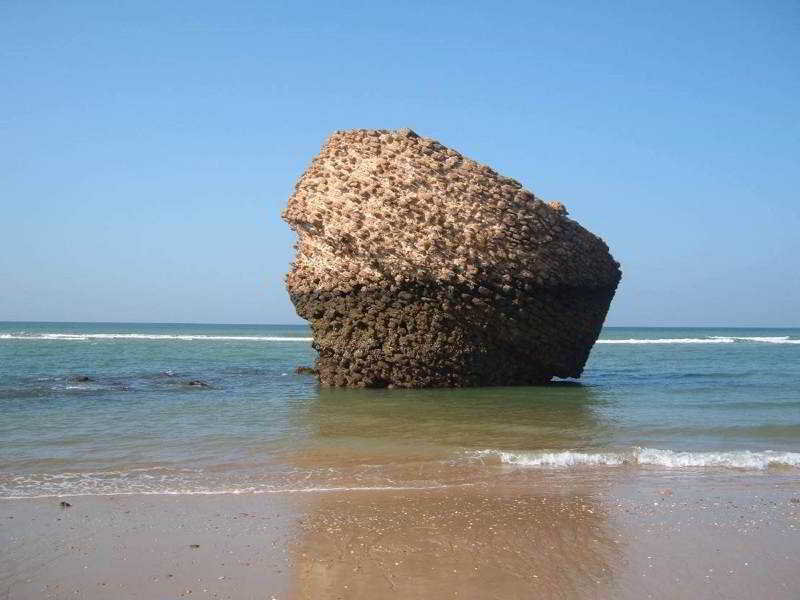 General view
General view
di Roulette Matalascañas 3*